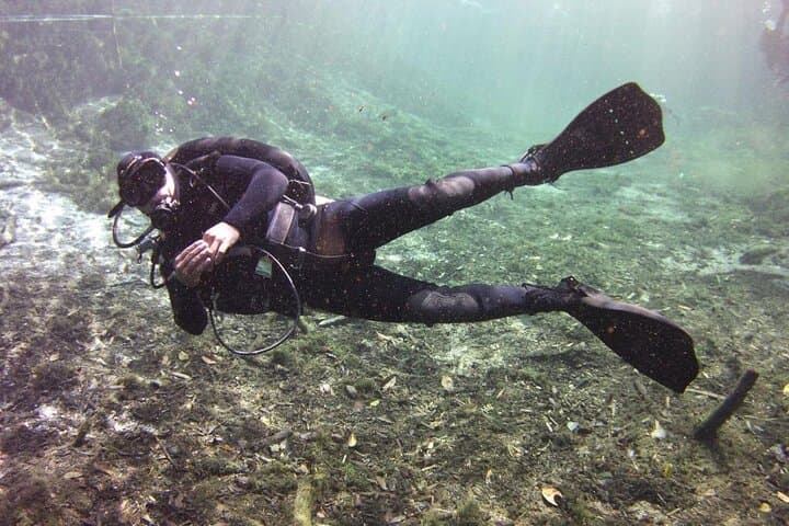 Try Scuba Diving at Casa Cenote, Tulum — Intro Dive with Snacks photo 6