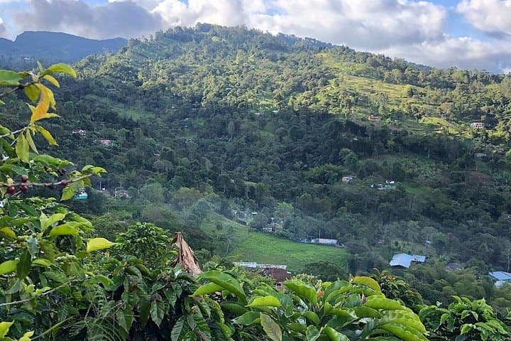Coffee Tour Finca Jaguar — Bogotá Farm-to-Cup Immersion photo 2