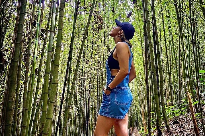 Discover Ram Tzul Natural Reserve: Rubel Chaim Waterfall & Bamboo Forest Day Tour photo 3