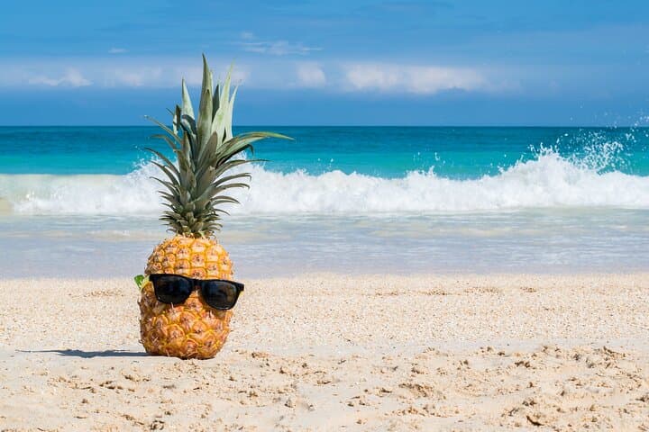 Oahu Grand Circle Island Tour: North Shore, Byodo-In Temple & Snorkel