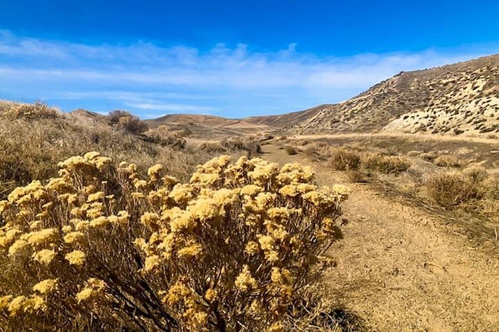 Hidden Springs & Gorges: Twin Falls Half-Day Off-the-Beaten-Path Scenic Tour photo 4