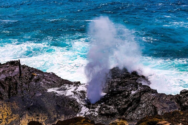 Oahu Grand Circle Island Tour: North Shore, Byodo-In Temple & Snorkel photo 5