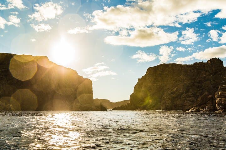 Iceberg Alley & Whales: 2-Hour Boat Tour from Twillingate photo 5