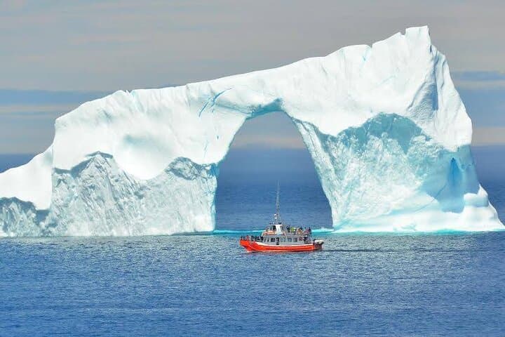 Iceberg Alley & Whales: 2-Hour Boat Tour from Twillingate photo 2