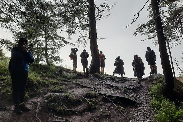 Day Hike to Mălăiești Cabin — Bucegi One-Day Hike from Brașov photo 3