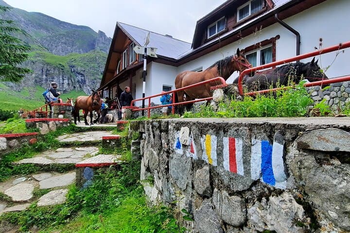 Day Hike to Mălăiești Cabin — Bucegi One-Day Hike from Brașov photo 4