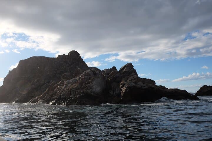 Iceberg Alley & Whales: 2-Hour Boat Tour from Twillingate photo 6