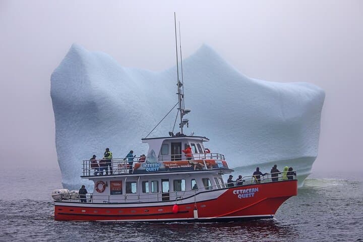 Iceberg Alley & Whales: 2-Hour Boat Tour from Twillingate photo 3
