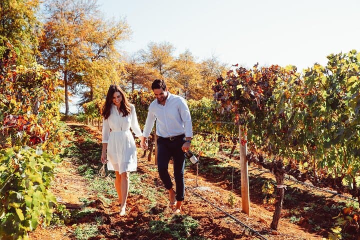 Private Cape Winelands Wine Tour: Stellenbosch & Franschhoek Day Trip photo 4