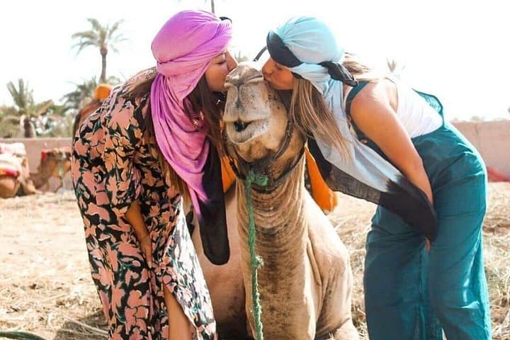 Marrakech Sunset Camel Ride in the Palmeraie: Palm Grove Camel Trek & Berber Tea photo 3