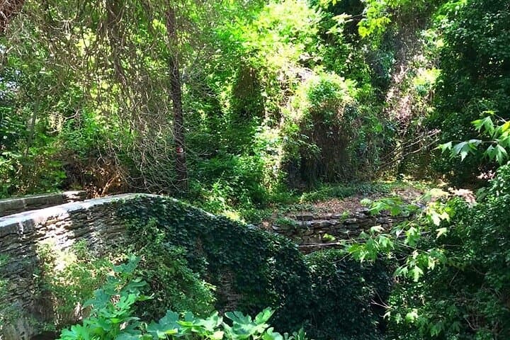 Andros Full-Day Sightseeing Tour: Waterfalls, Caves & Historic Villages photo 2