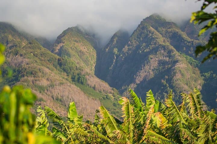 Taste of Hawaii: La Kahea Community Farm Tour on Maui photo 6