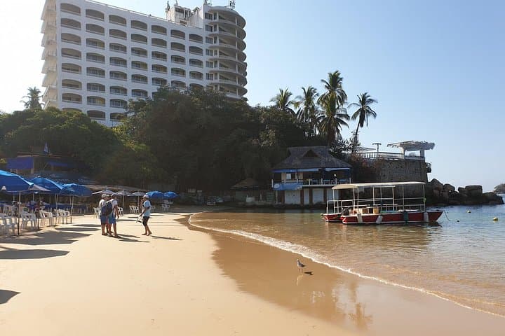Acapulco Beach & La Roqueta Snorkel: Caleta Beach Paddleboard and Puebla Day Tour photo 3