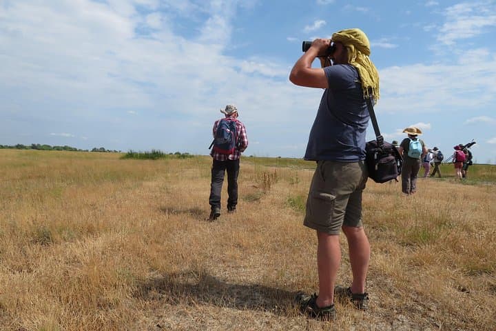 3-Day Kis-Balaton Wildlife Safari and Traditional Cottage Stay photo 3