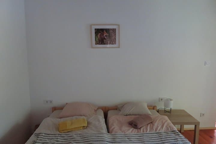 3-Day Kis-Balaton Wildlife Safari and Traditional Cottage Stay photo 4