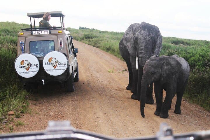 9-Day Serengeti Migration Safari: Follow the Great Wildebeest Journey photo 6