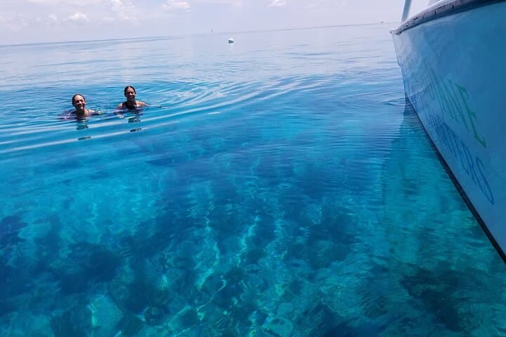 Key West Snorkel, Sandbar & Dolphin Excursion — Private Glass-Bottom Boat Trip photo 3