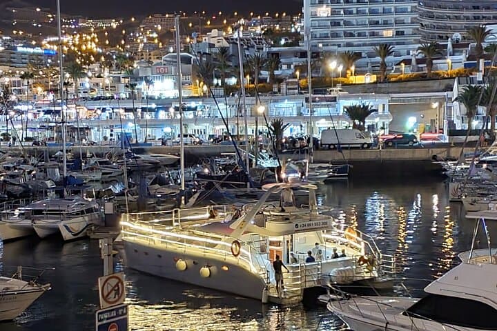 Puerto Colón Whale-Watching Catamaran: Tenerife Cruise with Buffet & Transfers photo 5