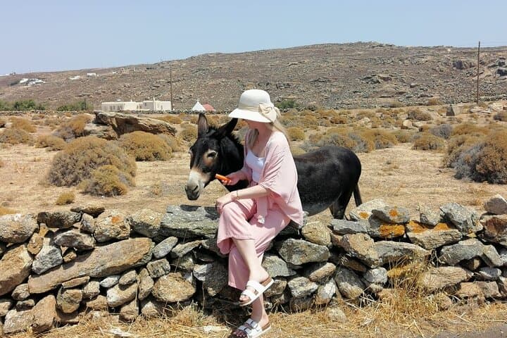 Private Half-Day Mykonos Insider Tour — Lighthouse, Monastery & Agrari Beach photo 4