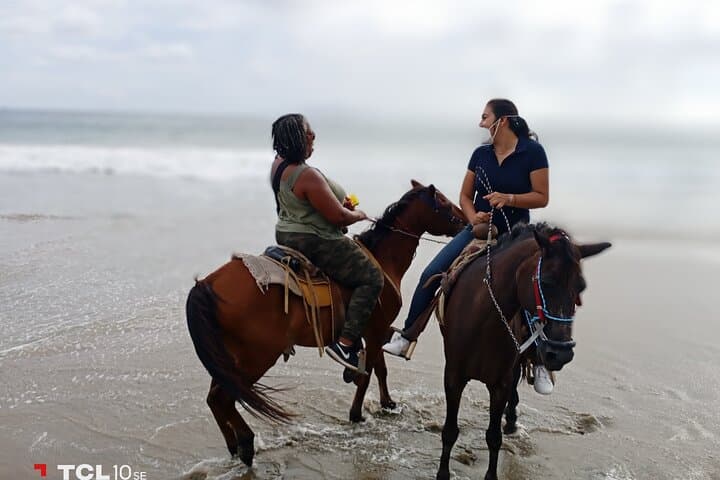 Sunset Horseback Riding on Zihuatanejo Beaches — Learn to Saddle and Ride Through Mexican History photo 4