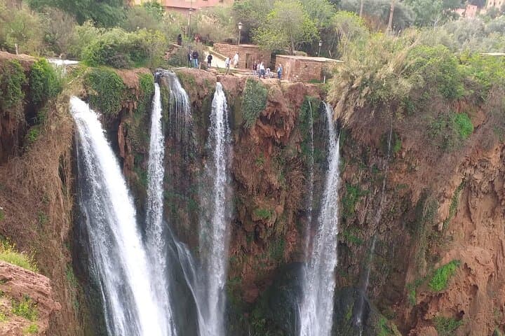 Ouzoud Waterfalls Day Trip from Marrakech — Hike, Pools & Village photo 6