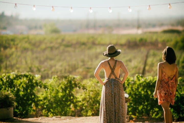 Punta del Este Wine Tour: Small-Group Tannat Tasting & Lunch at La Barra Vineyard photo 5