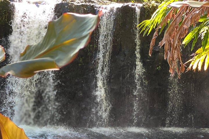 Halfway to Hāna Sightseeing Adventure — Rainforest Waterfalls & Coastal Lookouts photo 3