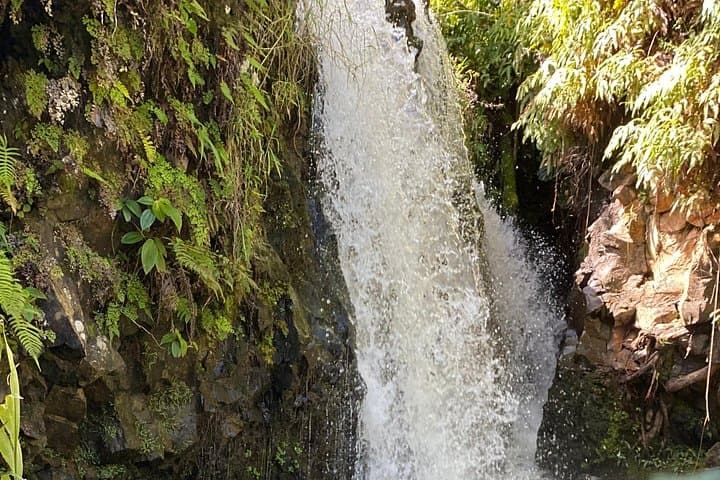Halfway to Hāna Sightseeing Adventure — Rainforest Waterfalls & Coastal Lookouts photo 4