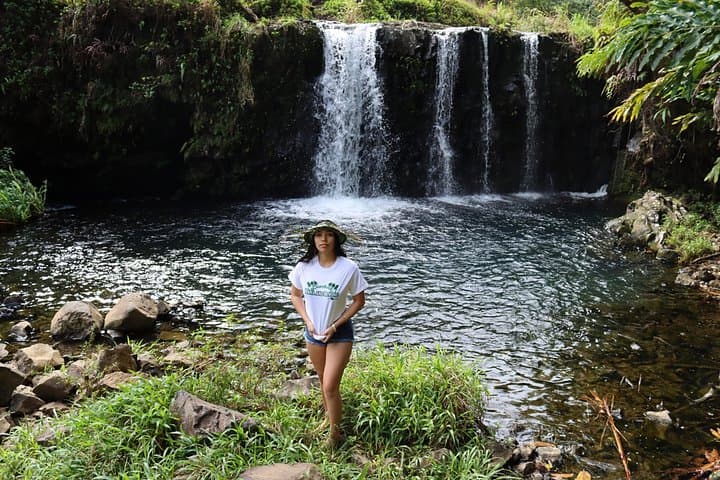 Halfway to Hāna Sightseeing Adventure — Rainforest Waterfalls & Coastal Lookouts photo 5