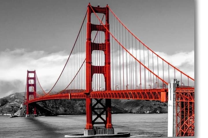 Muir Woods Express and Golden Gate Bridge Half-Day Tour from San Francisco photo 3