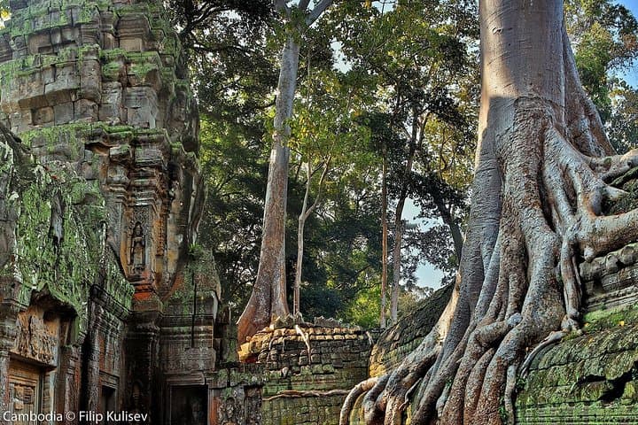 Sunrise at Angkor Wat: Small-Group Temple Tour from Siem Reap photo 2