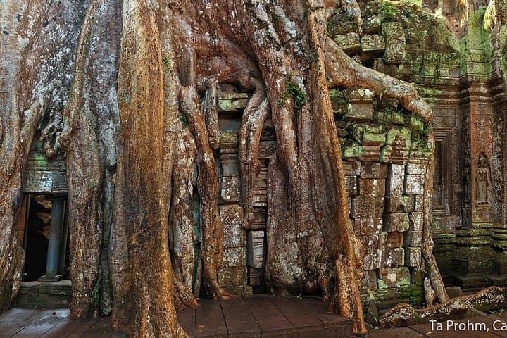Sunrise at Angkor Wat: Small-Group Temple Tour from Siem Reap photo 3