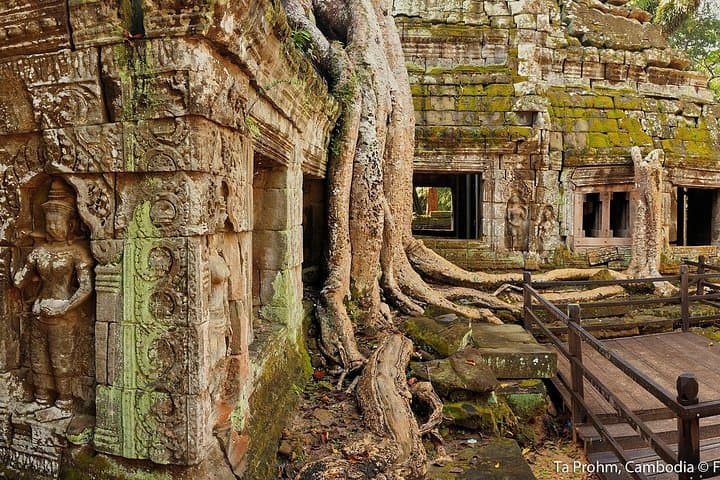 Sunrise at Angkor Wat: Small-Group Temple Tour from Siem Reap photo 4