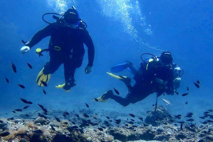 Try Scuba Diving in Split — Beginner Introductory Dive Trip in Croatia photo 4