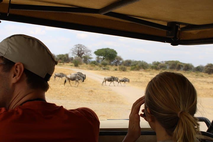 Full-Day Ngorongoro Crater Private Tour: Wildlife Game Drive from Arusha photo 2
