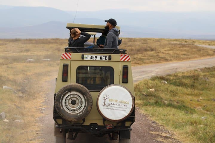 Full-Day Ngorongoro Crater Private Tour: Wildlife Game Drive from Arusha photo 4