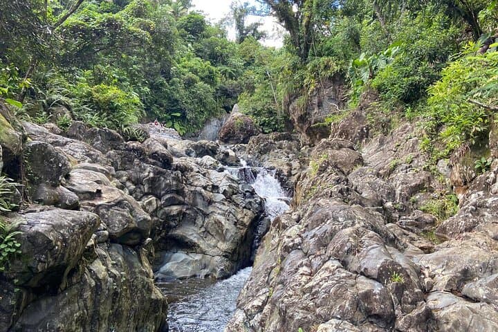 El Yunque Morning River & Tinajas Hike: Ceiba Pools, Slides and Cliff Jumps photo 4
