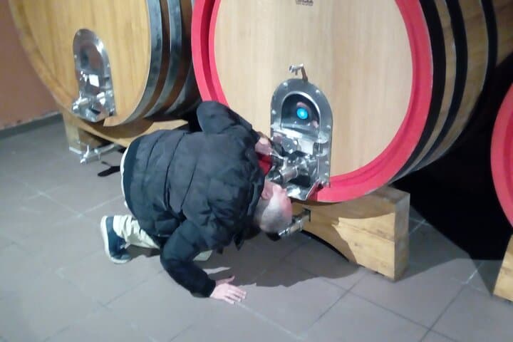 Full-Day Mount Etna Private Tour with DOC Wine Tasting and Cellar Lunch photo 5