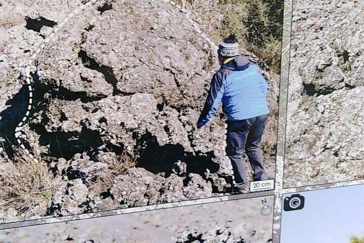 Full-Day Mount Etna Private Tour with DOC Wine Tasting and Cellar Lunch photo 4