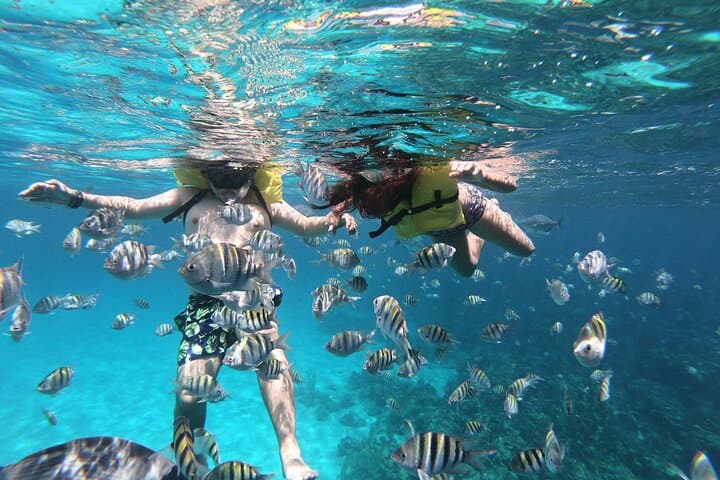West Bay Guided Snorkel: Shore-Entry Access to Roatán’s Barrier Reef photo 5