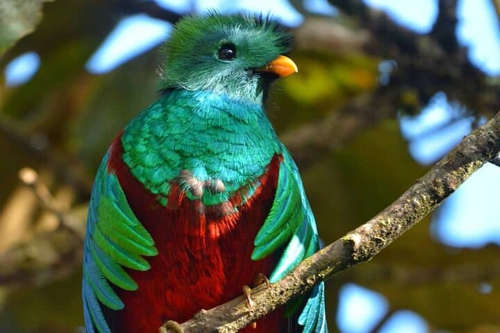 3-Day Semuc Champey, Caves & El Quetzal: A Highlands Nature Tour photo 4