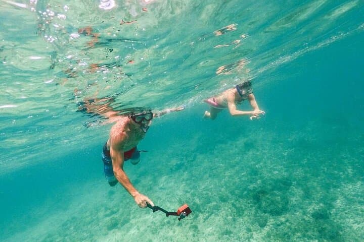 Explore Underwater Wonders at Coral World and Coki Point Beach