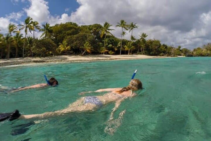 Explore Underwater Wonders at Coral World and Coki Point Beach photo 2