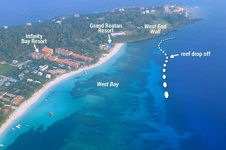 West Bay Guided Snorkel: Shore-Entry Access to Roatán’s Barrier Reef photo 6