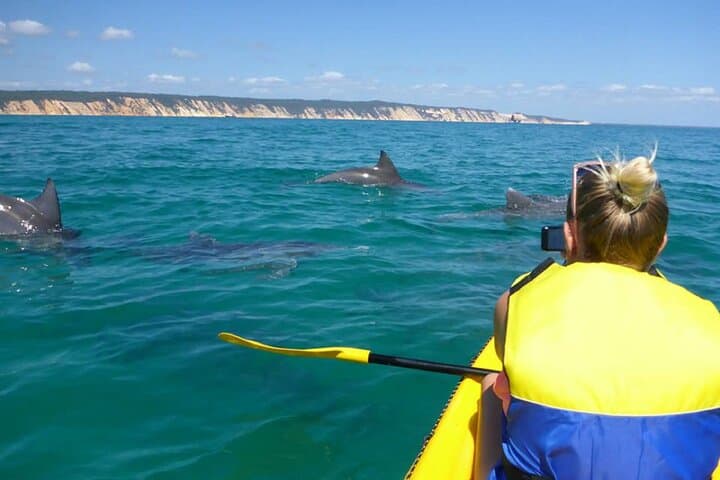 Noosa 4WD Beach & Dolphin Kayak: Double Island Point Adventure