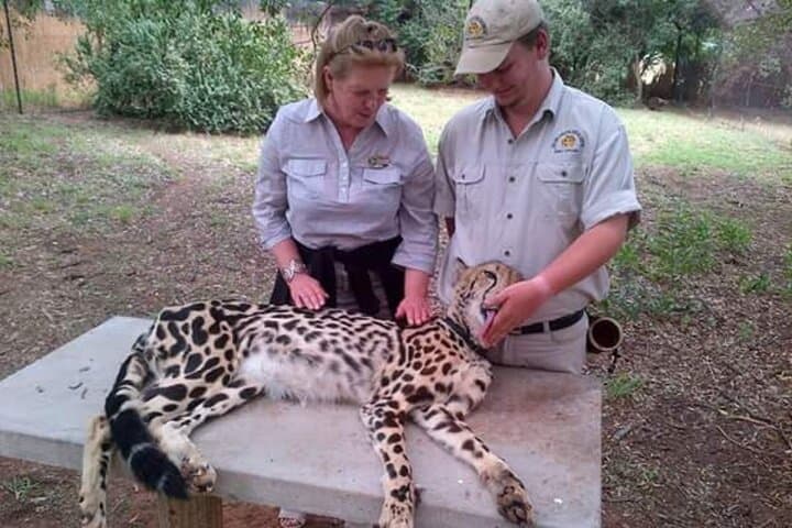 Ann van Dyk Cheetah Centre: Morning Cheetah Run and Guided Wildlife Tour photo 4