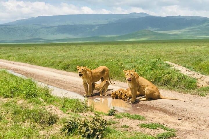 Selous 1-Day Safari from Zanzibar — Nyerere National Park Game Drive & Bush Lunch photo 4