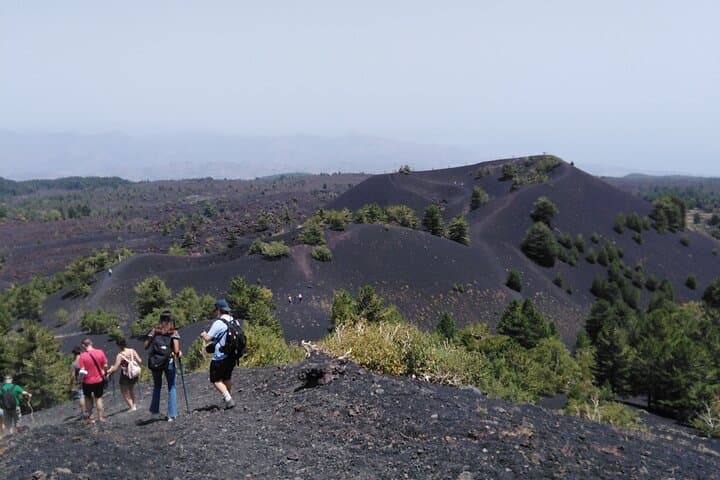 Full-Day Mount Etna Private Tour with DOC Wine Tasting and Cellar Lunch photo 2