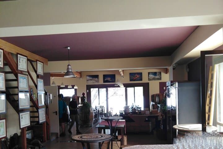 Full-Day Mount Etna Private Tour with DOC Wine Tasting and Cellar Lunch photo 6
