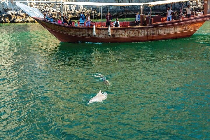 Dolphin Watching Cruise from Muscat – Half-Day Dolphin & Whale Tour photo 3